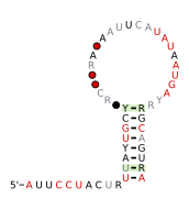 malK-II Secondary structure taken from the Rfam database. Family RF03008