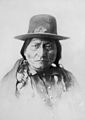 Sitting Bull, Häuptling der Lakota (Fotografie, 1883)