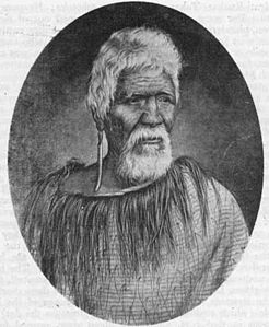 Ngati Haua-te-Rangi chief Te Mamaku