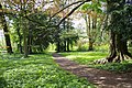 Wege und Grasflächen im Park