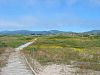 Año Nuevo State Reserve