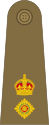 Lieutenant-Colonel