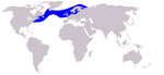 Atlantic white-sided dolphin range