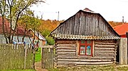 House in Cutuș