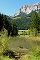 Hintersee