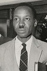 Pundamilia nyererei