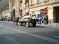 Junii Brașoveni (începutul paradei)