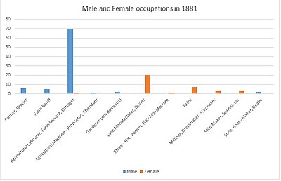 Male and Female Occupation in 1881
