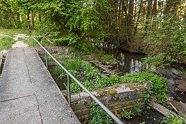 Stauanlage und Abfluss des Gauchsbachs