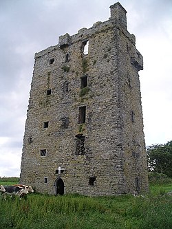 Carrigaholt Castle