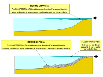 Regimi di flusso in un delta. Nel periodo di magra il carico in sospensione della corrente fluviale entrante dà origine a flussi ipopicnali (con densità minore rispetto alle acque del bacino), che depongono sedimento per decantazione. In regime di piena, il carico di fondo della corrente fluviale dà origine a flussi iperpicnali (più densi rispetto alle acque del bacino), con deposizione di sedimenti grossolani di tipo torbiditico.