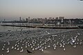 (B) Chowpatty is one of the most famous beaches of Mumbai and a prime spot for Mumbai's roadside cuisine.