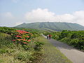 Mt. Mihara with azaleas in the foreground
