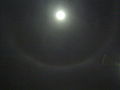 Cirrostratus danner halo rundt månen