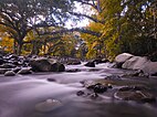 Pasonanca Natural Park, an ASEAN Heritage Park