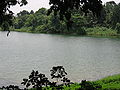 Upper Seletar Reservoir