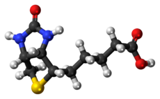 Molecuulmodel van biotine