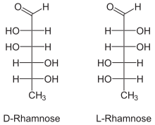 Fischerprojectie van rhamnose