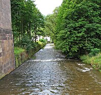 Die Göltzsch nahe der Göltzschtalbrücke