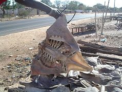 Fischfang bei Ghana Town