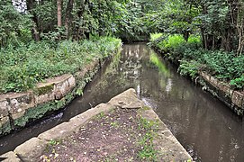 Hanhofer Wassergescheid von unterhalb: links Speyerbach, rechts Woogbach (Teilungsverhältnis 1:1)