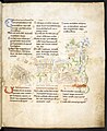 Psalm 4, and the beginning of Psalm 5, in the Harley Psalter.