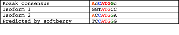 Surrounding sequence of start codons compared to Kozak consensus sequence