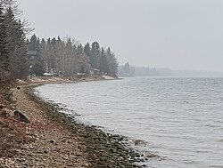 Pigeon Lake Shoreline in Poplar Bay