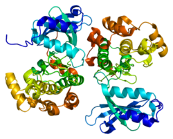 Serin/Threonin-Proteinkinase PAK 5