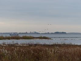 Opgespoten eiland en dam in het Haringvliet