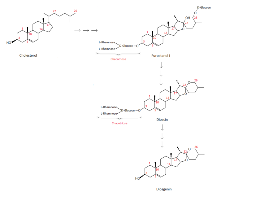 Die Abbildung stellt eine Synthesemöglichkeit von Diosgenin ausgehend vom Cholesterol dar.