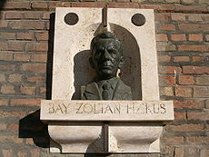 Bay Zoltán