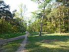 Berlin-Adlershof Birkenweg