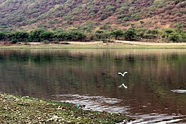 View of Badi Lake