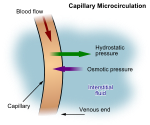 صورة SVG جديدة