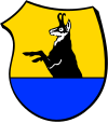 Wappen von Jachenau