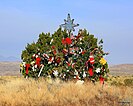 The tree decorated in 2014