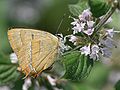 female, Photo by Kristian Peters