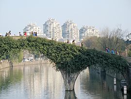 Jembatan Tongji di atas Sungai Yaojiang, pusat kota Yuyao