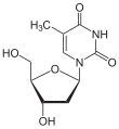 Desoxythymidin