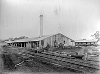 Carlota sawmill