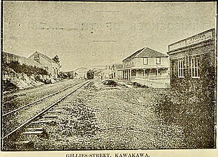 In 1891 the street at Kawakawa was part developed