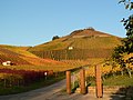 Der Neckarsulmer Scheuerberg von Süden gesehen