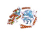 1got: HETEROTRIMERIC COMPLEX OF A GT-ALPHA/GI-ALPHA CHIMERA AND THE GT-BETA-GAMMA SUBUNITS