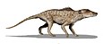 Pakicetus was a prehistoric cetacean.