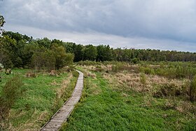 Boardwalk