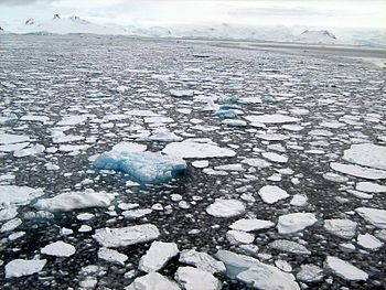 Foto: Acaro Sjøis i Admiralty Bay på King George Island.