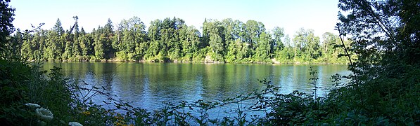 The Willamette River from Champoeg