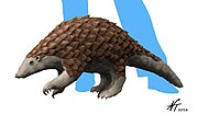 Life reconstruction of Eomanis waldi