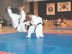 Hapkido